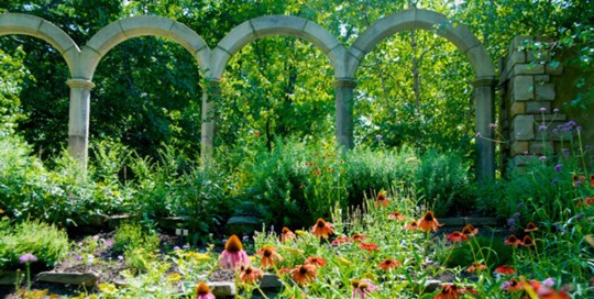 Butterfly Garden - Ann Rosmarin Landscape Design