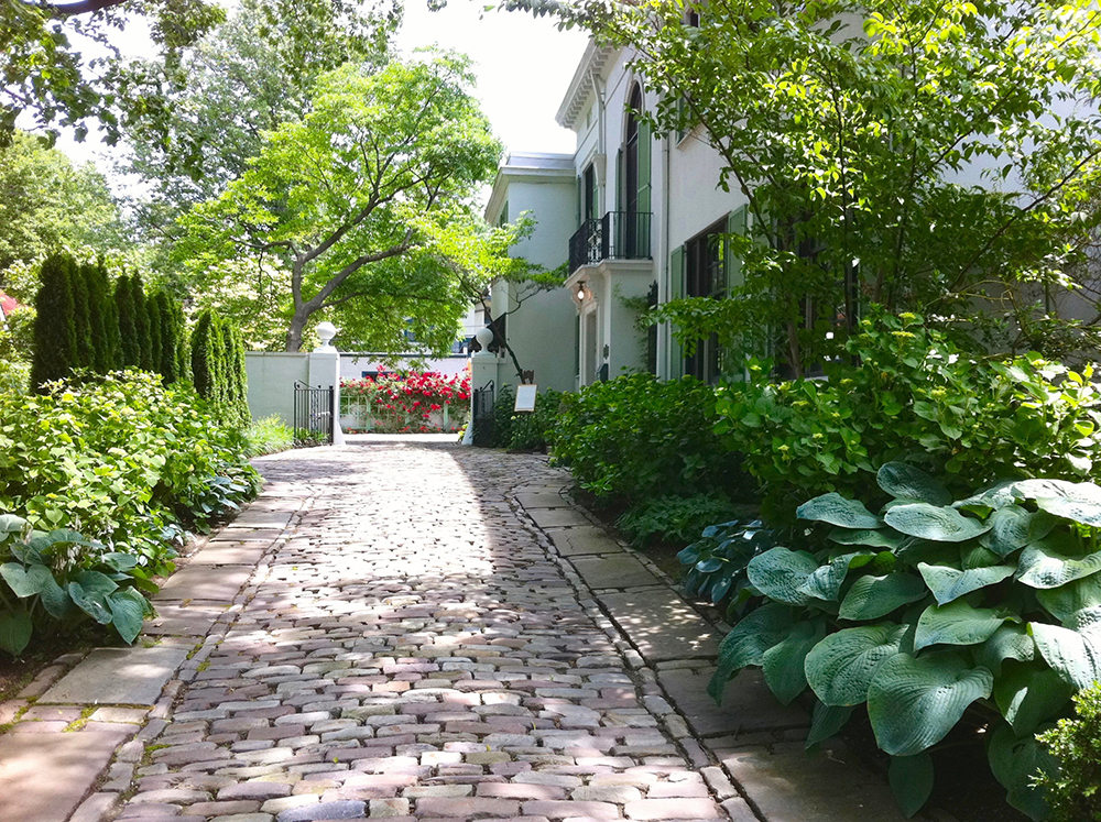 Mediterranean Garden - Ann Rosmarin Landscape Design