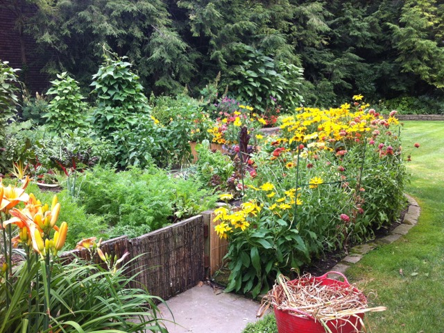 Mediterranean Garden - Ann Rosmarin Landscape Design