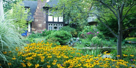 Tudor Cottage - Ann Rosmarin Landscape Design