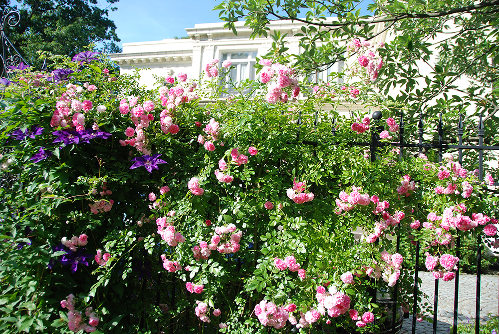 Gardens of Beaulieu - Ann Rosmarin Landscape Design