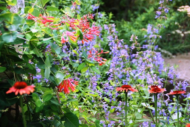 Butterfly Garden