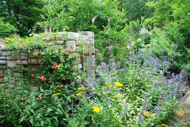 Butterfly Garden - Ann Rosmarin Landscape Design