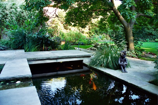 Mediterranean Garden - Ann Rosmarin Landscape Design