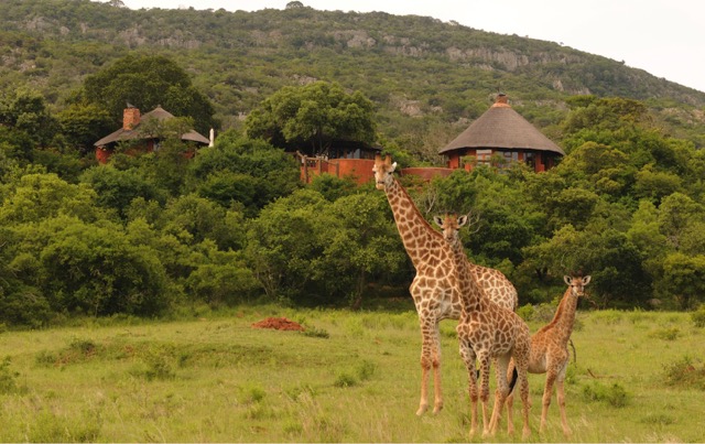 Leshiba Wilderness