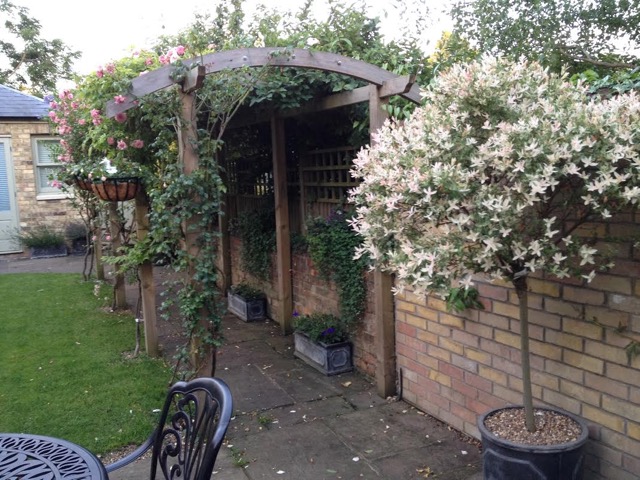 Oxford Cottage Garden - Ann Rosmarin Landscape Design
