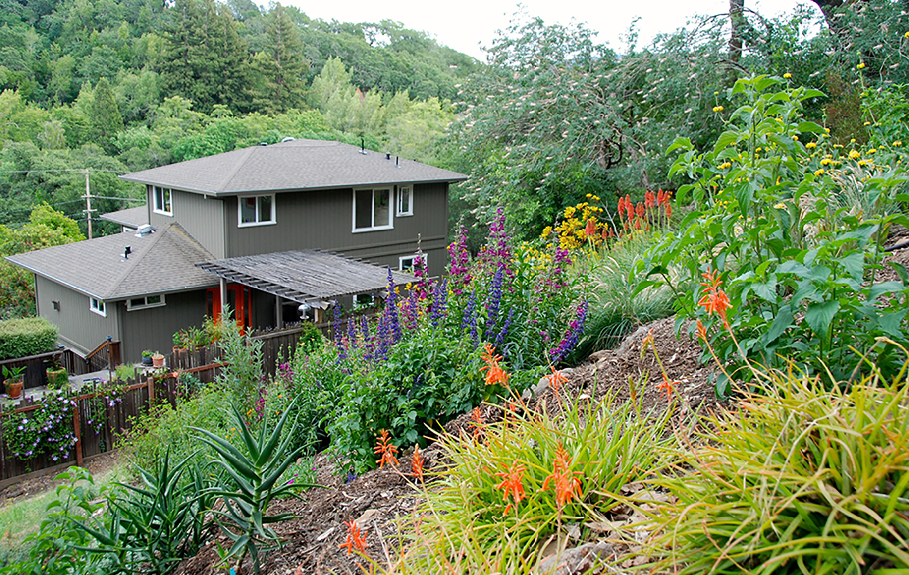 Sonoma County Garden - Ann Rosmarin Landscape Design