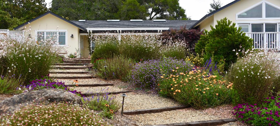 ebastopol Garden - Ann Rosmarin Landscape Design