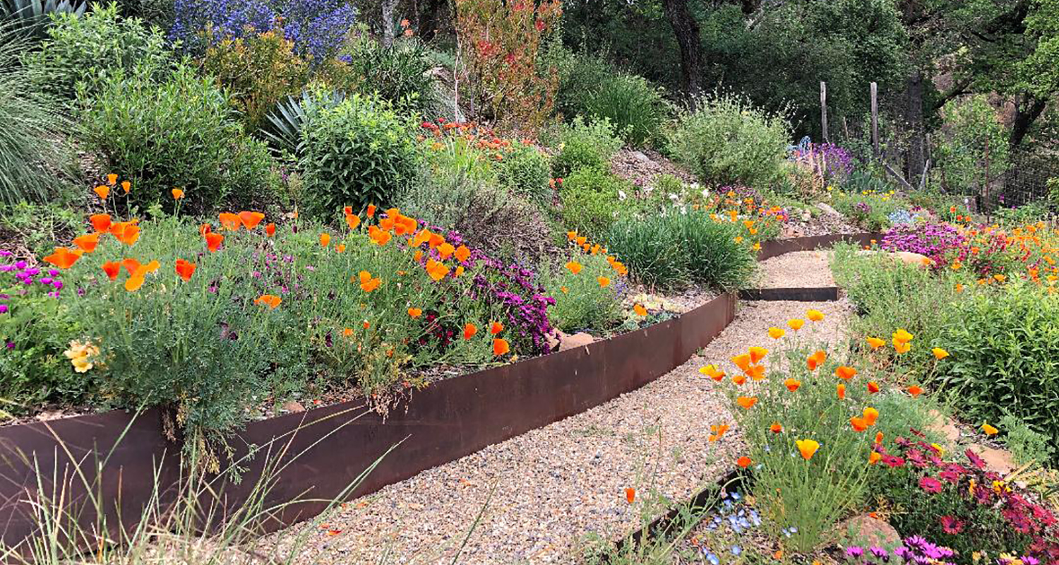 Sonoma County Garden by Ann Rosmarin Landscape Design