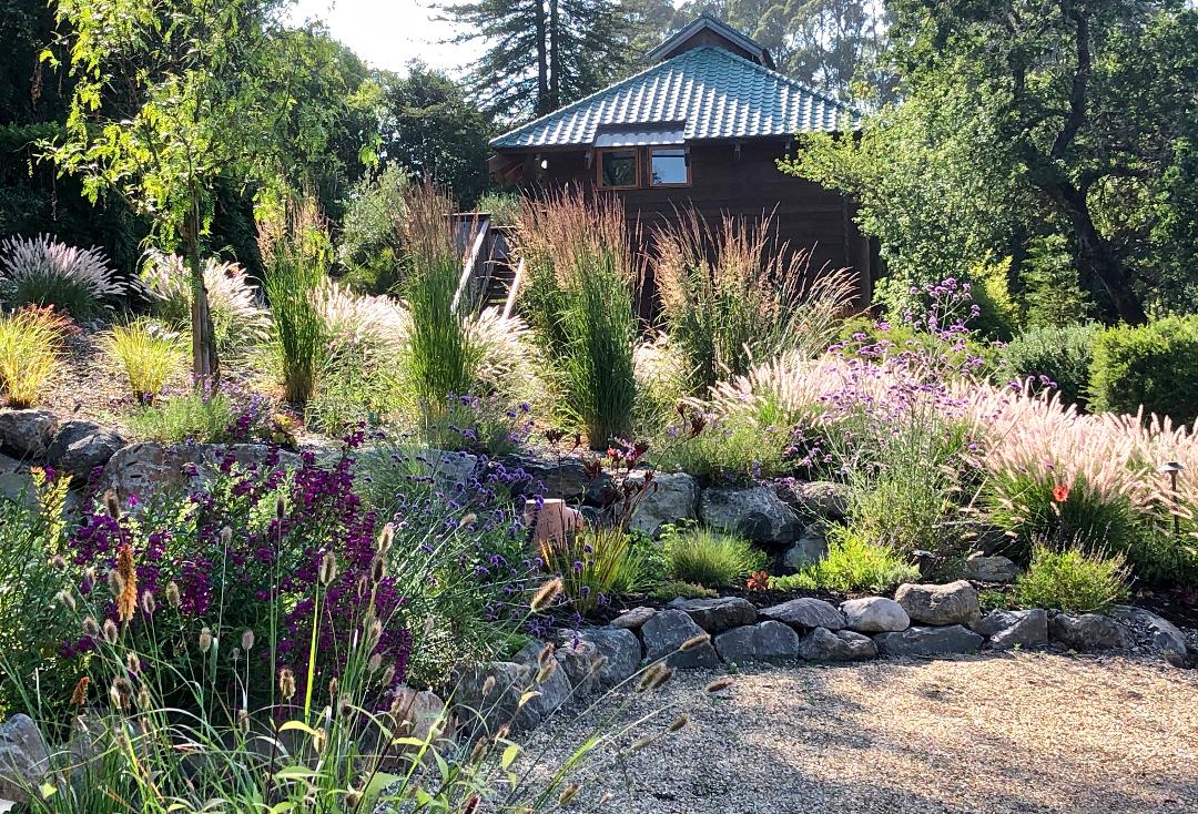 Japanese Meadow Garden - Ann Rosmarin Landscape Design
