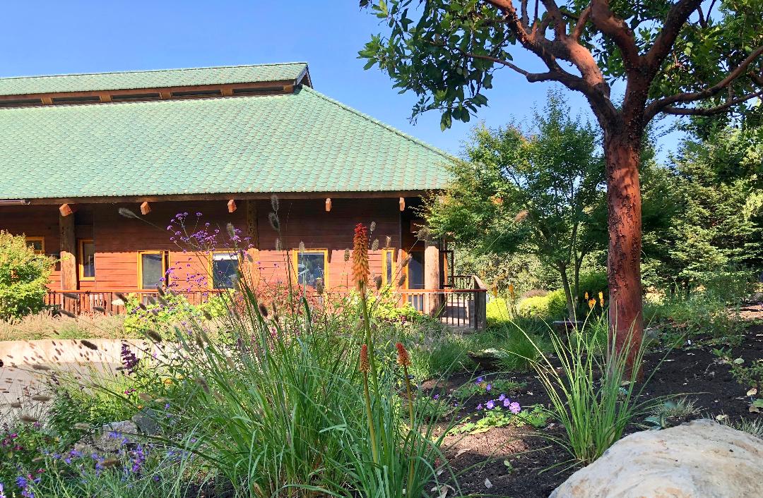 Japanese Meadow Garden - Ann Rosmarin Landscape Design