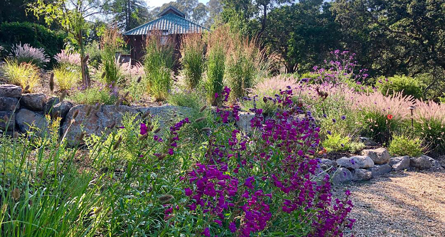 Japanese Garden - Ann Rosmarin Landscape Design