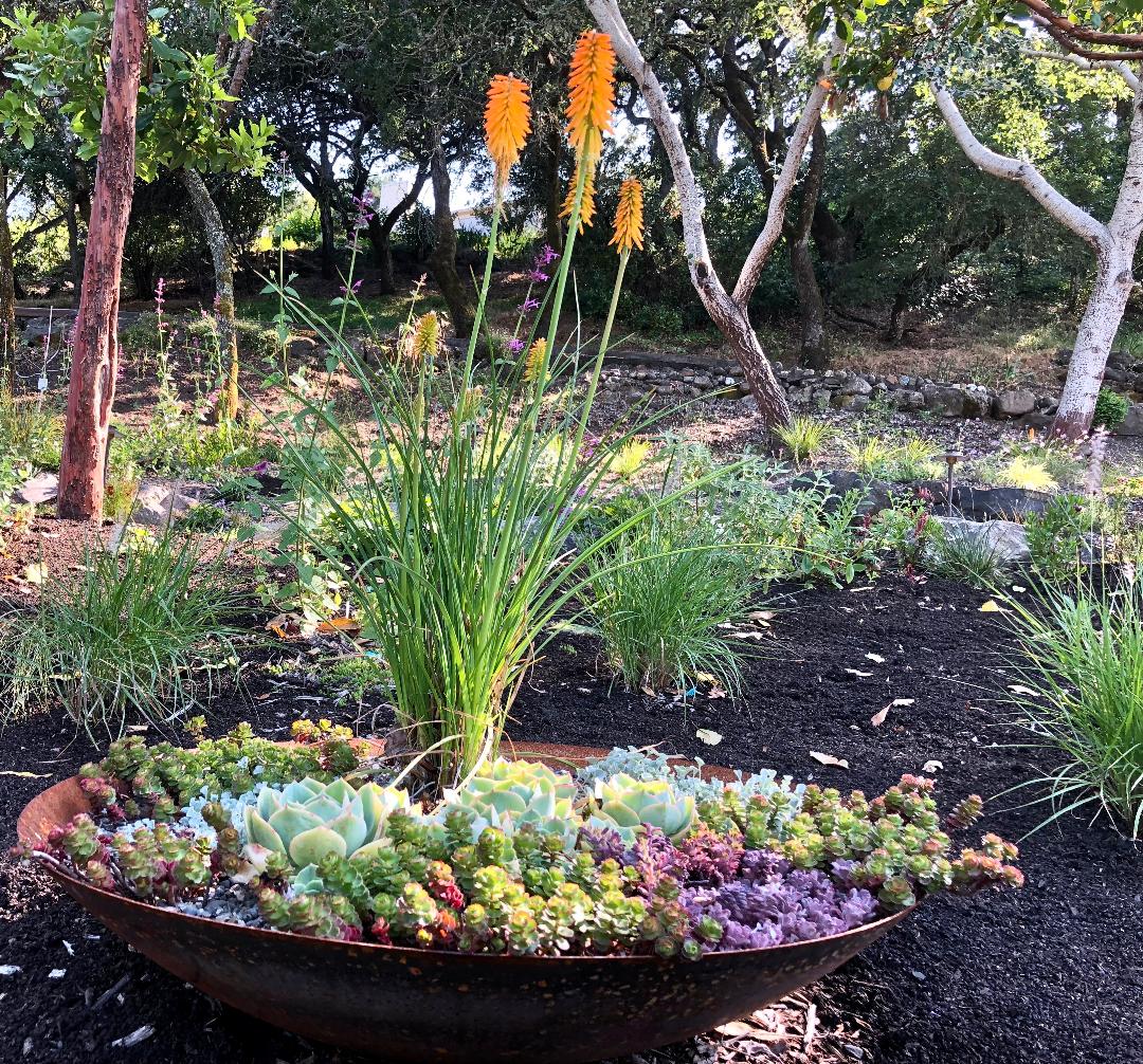 Japanese garden - Ann Rosmarin Landscape Design