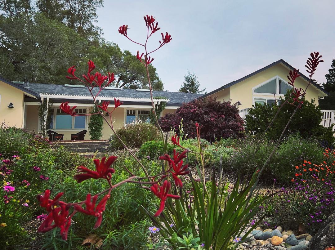 Sebastopol Garden - Ann Rosmarin Landscape Design