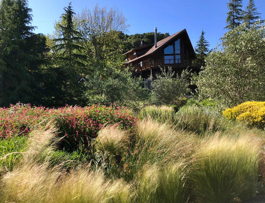 Taylor Mountain Retreat - Ann Rosmarin Landscape Design