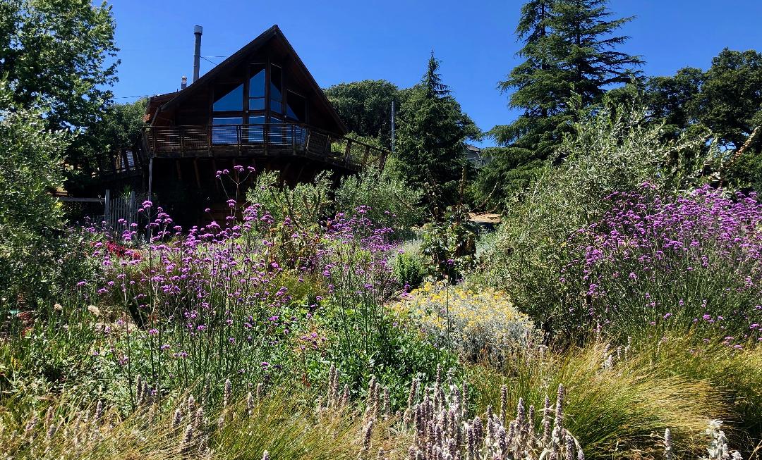 Taylor Mountain Retreat - Ann Rosmarin Landscape Design
