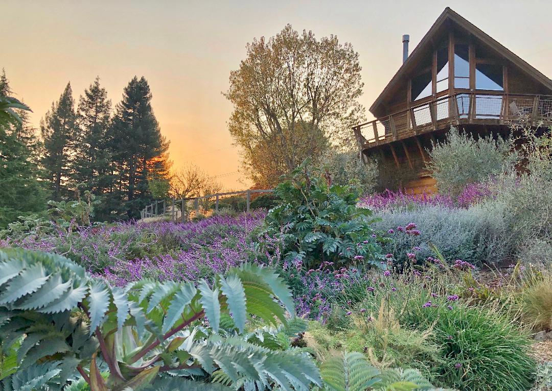 Taylor Mountain Retreat - Ann Rosmarin Landscape Design