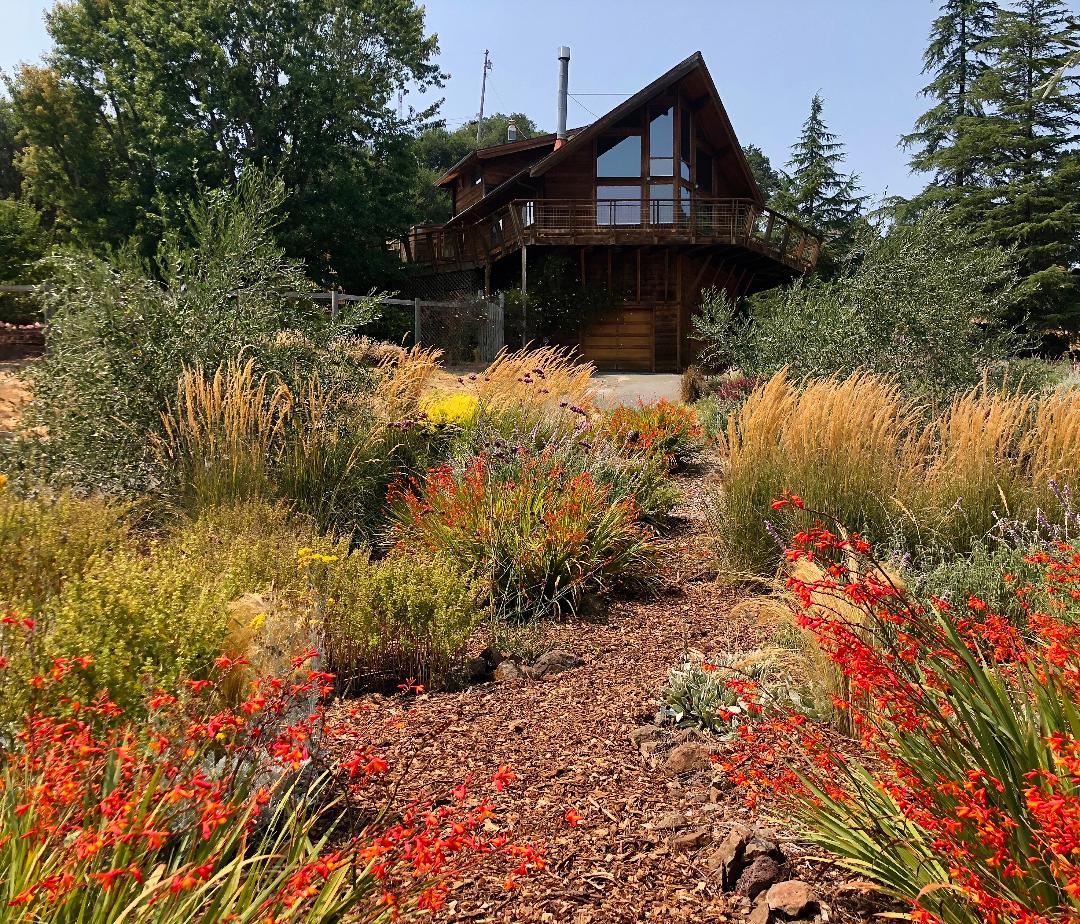 Taylor Mountain Retreat - Ann Rosmarin Landscape Design