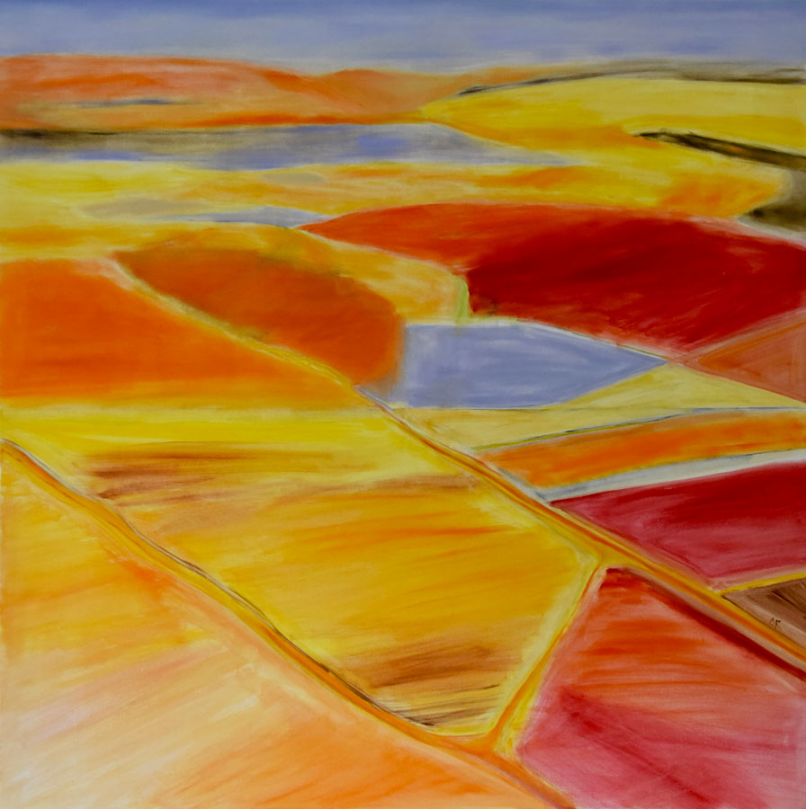 Aerial View Series - Ann Rosmarin Fine Art