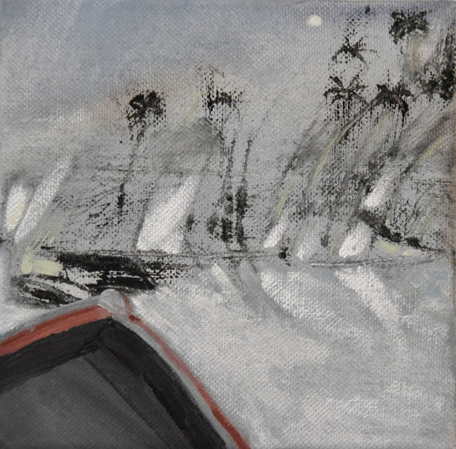 Okavango Delta Series - Ann Rosmarin Fine Art