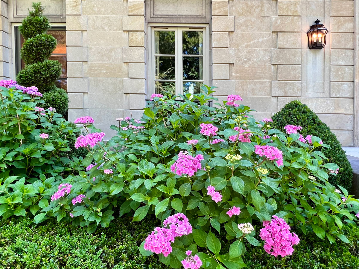 French Estate - Ann Rosmarin Landscape Design
