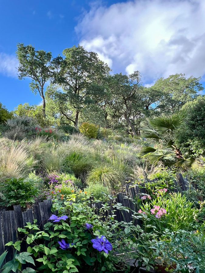 Sonoma County Garden - Ann Rosmarin Landscape Design